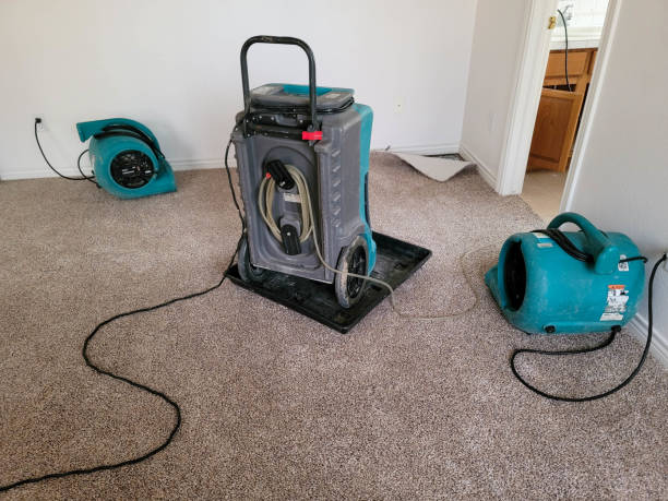 Professional Water damage restoration in Simi Valley, CA