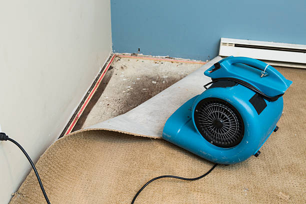 Carpet water damage restoration in Simi Valley, CA